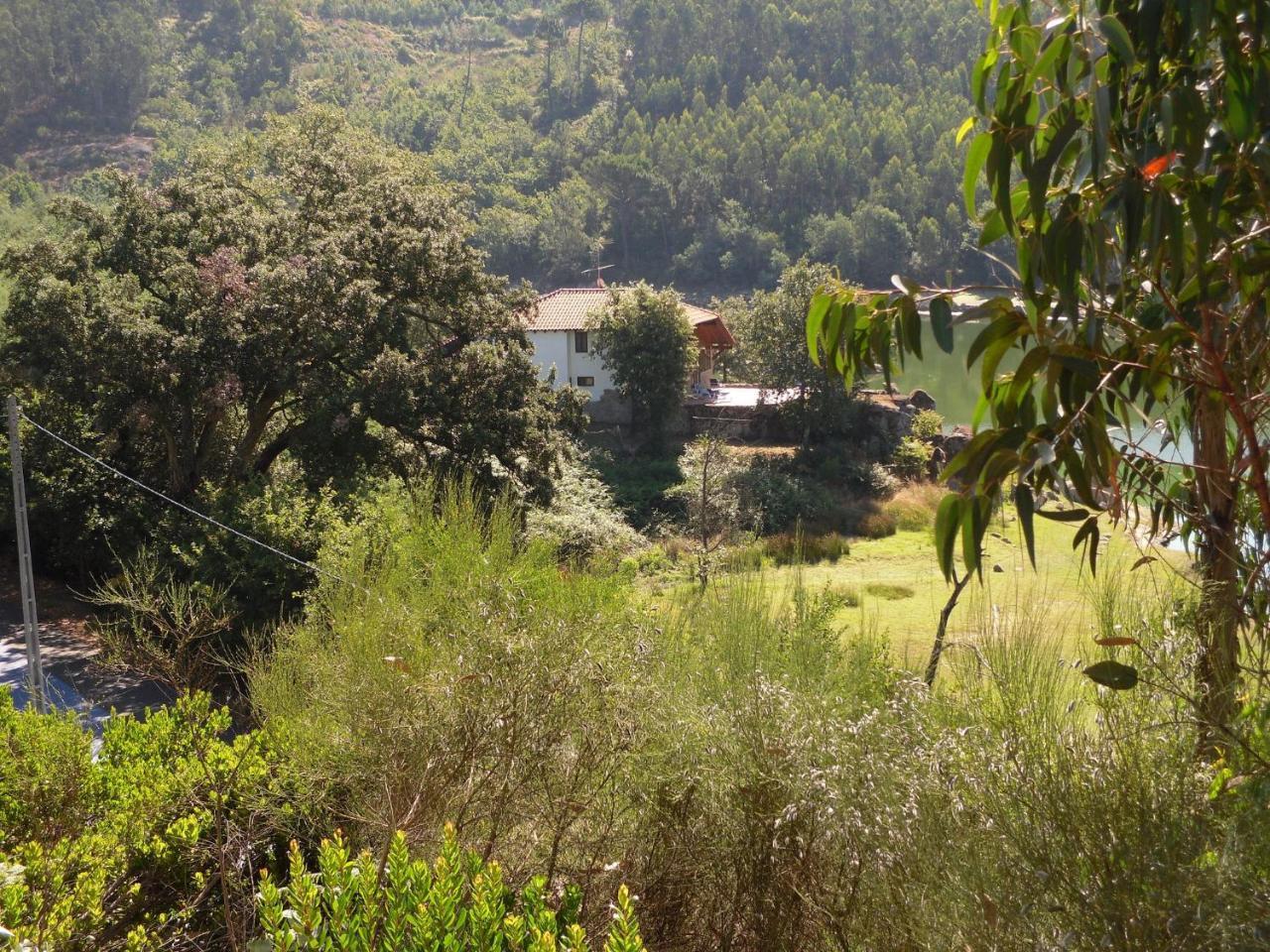 Traditional Mansion In Treixedo With Swimming Pool Exteriör bild